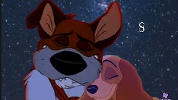 IN THE MIDDLE OF THE NIGHT 【OPEN ANIMASH MEP】     *READ DESC!!*