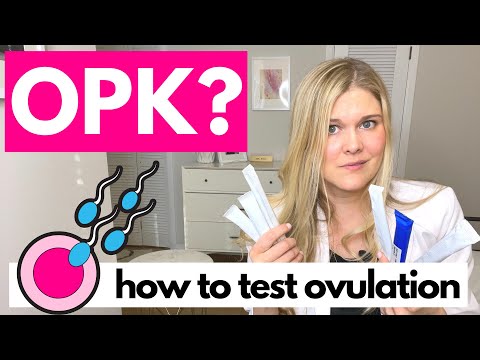 How Do You Use An Opk Fertility Doctor Explains Testing Ovulation And Ovulation Predictor Kits