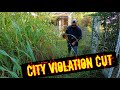 THIS IS THE CRAZIEST LAWN I HAVE EVER CUT!! | I CUT THIS CITY VIOLATION LAWN FOR FREE!!!