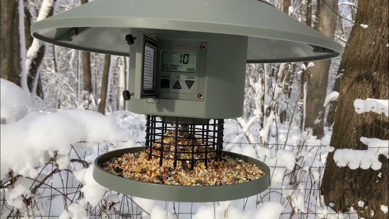 Wingscapes Bird & Chicken AutoFeeder Automatic Bird Feeder YouTube
