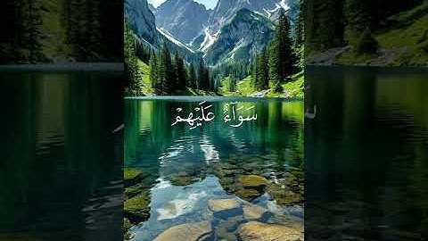 سورة المنافقون القارئ محمد اللحيدان