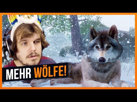 Video: Wer Hat Den Zoo Erfunden? - Alternative Ansicht