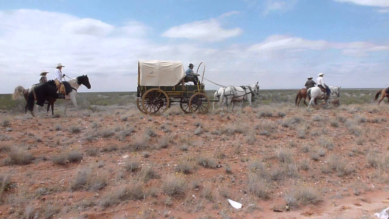 P1030266 mule drawn wagon.MOV