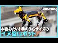 本物みたい！手のひらサイズのイヌ型ロボット「Petoi Bittle」