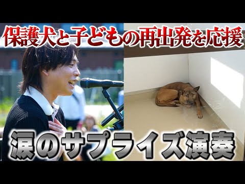 捨てられた犬と生きづらさを抱える子どもが支え合う施設に行ってみた！