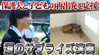 捨てられた犬と生きづらさを抱える子どもが支え合う施設に行ってみた！