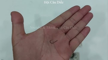 Chia sẻ lựa chọn lưỡi câu đài - Hội Câu Diếc