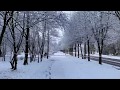 Снег в апреле Санкт-Петербург. Весна пришла