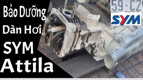 Hướng dẫn bảo dưỡng xe altila victoria