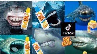 The Funny Shark Puppet 2019 ( Tik Tok  Video Compilation) @SharkPuppet