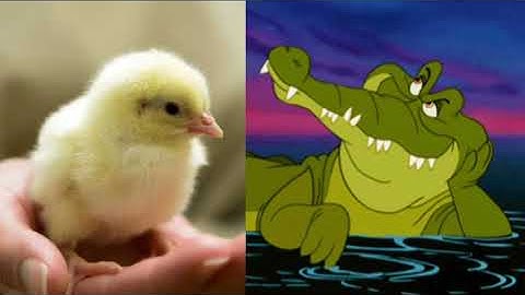 World Rules to Blackball Rules | billiard Pool