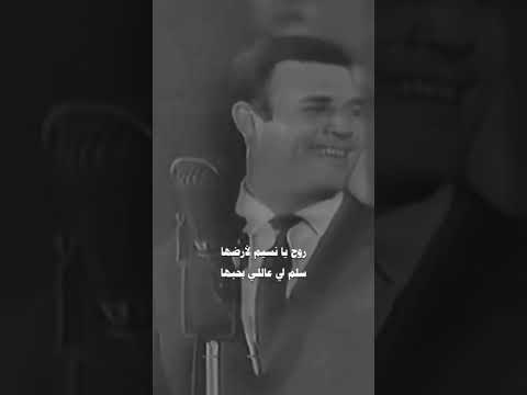روح يانسيم لأرضها فهد بلان