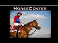 HorseCenter - 2021 Kentucky Derby Top 10 + Louisiana Derby picks