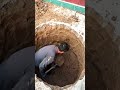 Manual Earth Digging Process #shorts