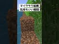 マイクラやってて上位に入るぐらい気持ちいい瞬間【マインクラフト】#shorts
