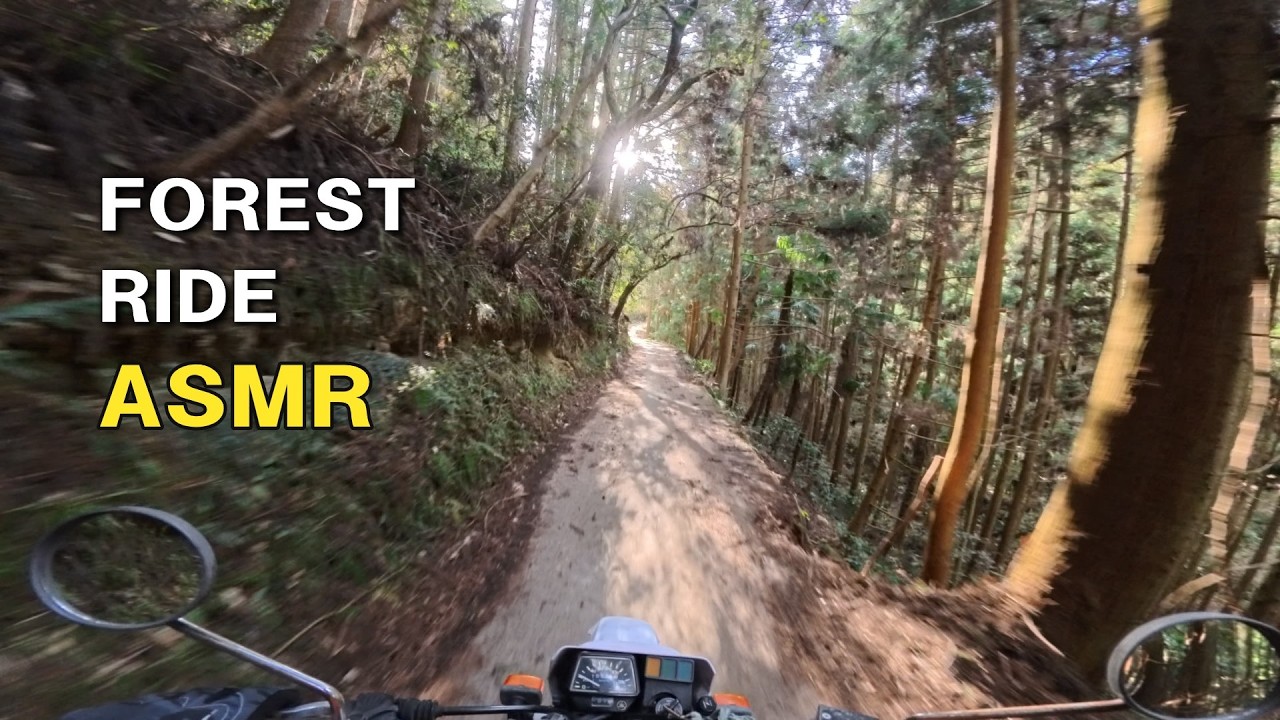 [ASMR] Ride to the Mountain Top | Yamaha XT225 Pure Sound POV - YouTube