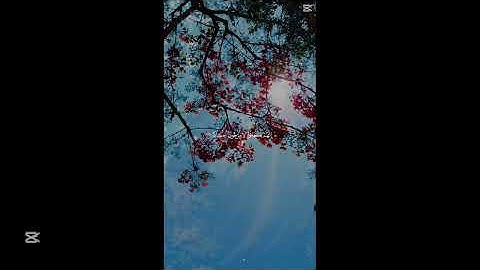 سوره النبا كامله