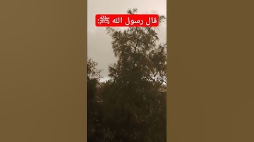 قال رسول الله ﷺ #رسول_الله #احاديث#اذكار #islamicvideo #قرآن #reels