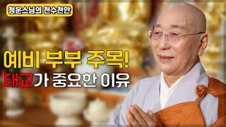 갓난 아기의 조막손 [청운스님 천수천안 202회]