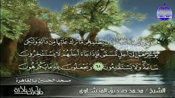 تلاوة رائــعـ ـة  من سورة النحل  للقارئ القلوب محمد صديق المنشاوي  من مسجد الحسين بالقاهرة