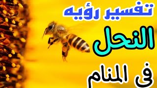 تفسير حلم رؤيه النحل في المنام للرجل والمرأه