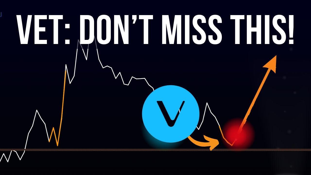 VET: DUMP? or The Biggest Opportunity Yet? (WATCH SOON))