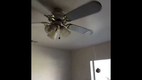 A potato flew around my room