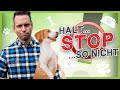 ▶︎ So stoppst Du deinen Hund in JEDER Situation [100%iges Abbruchsignal]