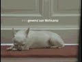 wehkamp - hondje