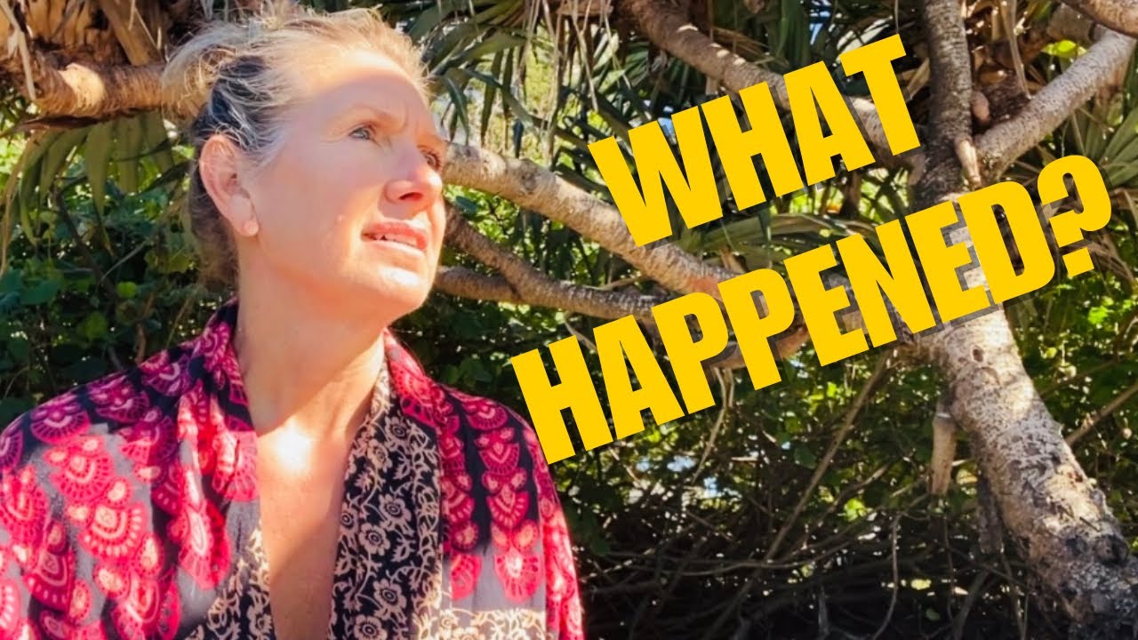 ⁣The Breakup That Changed Everything…
