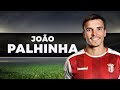 JOÃO PALHINHA ► Amazing Goals & Skills (Sporting Clube de Braga)
