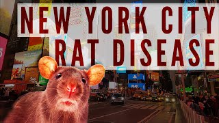New York City rats spread DEADLY disease