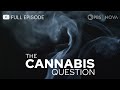 The Cannabis Question I Full Episode I NOVA I PBS