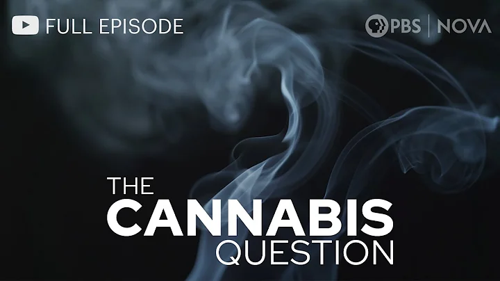 The Cannabis Question I Full Documentary I NOVA I ...