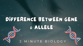 Difference between Gene and allele - 2 Minute Biology Series