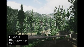 A Quick Look at Lushfoil Photography Sim! (Plus Channel Introduction)