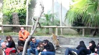 Accidente durante el show en Bioparc Fuengirola Zoo