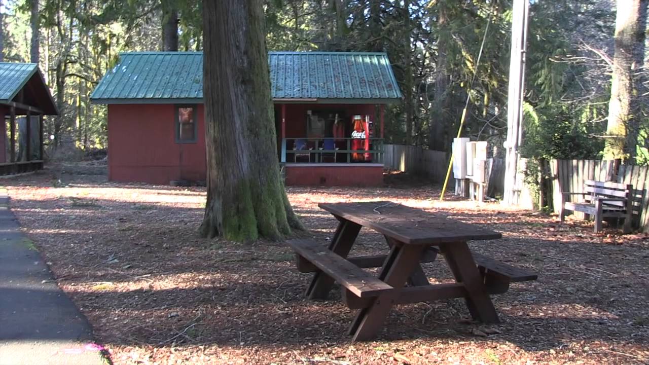 Gales Creek Camp YouTube