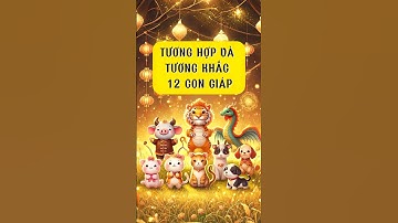 Tương khắc và tương hợp 12 con giáp #12congiap #phongthuy #vanmenh12congiap