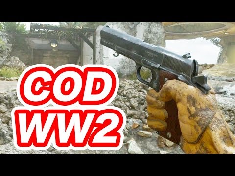 【COD:WW2】ガバメントで遊ぶ マック堺ゲーム実況