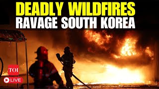 LIVE | South Korea Largest Wildfires Kill 27; Trail Of Destruction As Rains Bring Respite | WATCH
