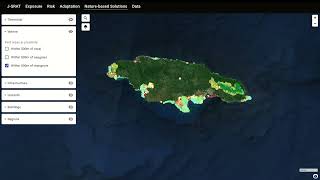 Jamaica Systemic Risk Assessment Tool launch