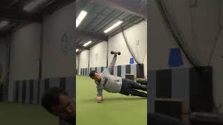 side plank reverse fly with dumbbell