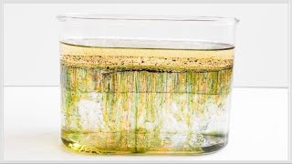 STEAM Activity, STEM Activity: Colorful Rain
