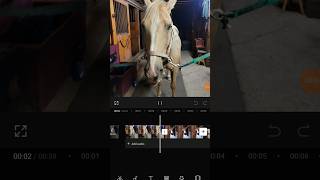 Edit With Me For Day 20 Of 40 Help Me Beat To 600