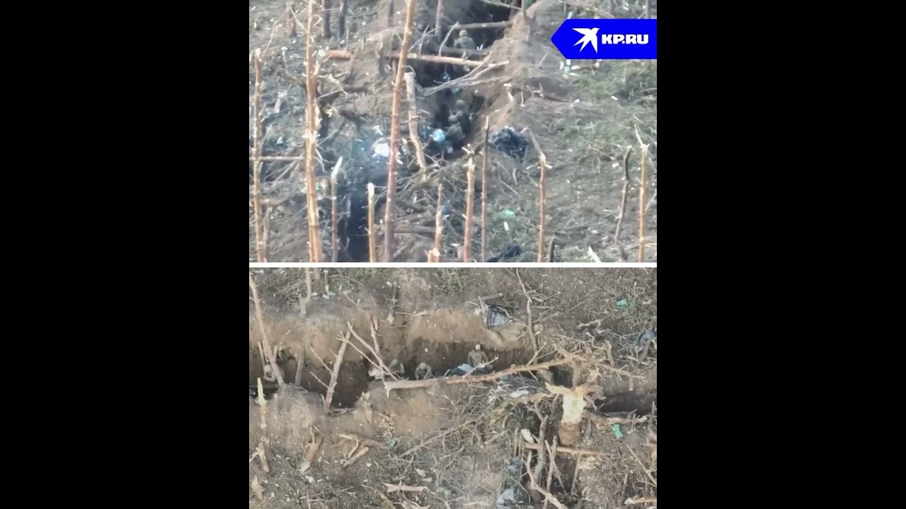 Подвиг Александра Мальцева