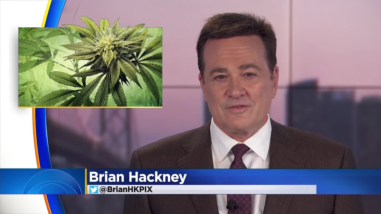 Small-Scale California Cannabis Growers Say They're Barely Hanging On