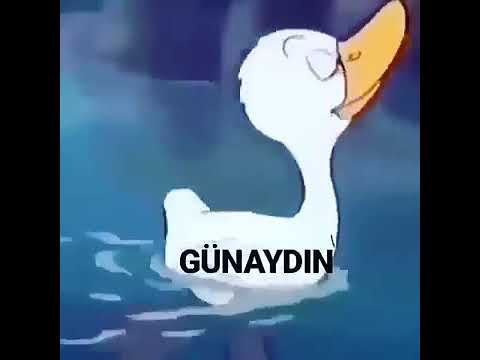 Komik gunaydın videosu