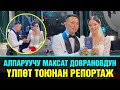 Алып баруучу Максат Доврановдун тоюнан ысык репортаж