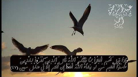 سورة يسّ كاملة | بصوت هادئ جدا للقارئ | عبدالرحمن أحمد